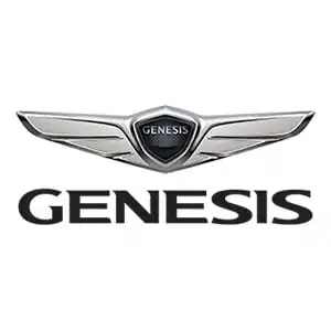 Genesis Touch Up Paint Genesis Touch Up Paint