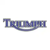 Triumph Touch Up Paint