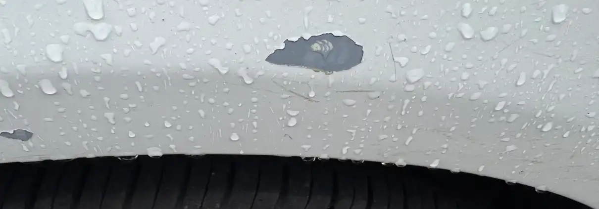 Peeling white paint chip on a white car fender